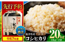【 先行予約 /9月中旬から発送】　【令和7年産】 福井県産 ラクト農法 コシヒカリ 玄米 10kg×2 （20kg） / 小浜市 / 北川博司 [BFDG007]