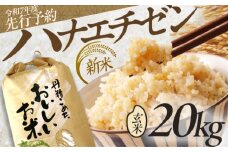 【先行予約 /8月下旬より順次発送 】 【令和7年産】 ハナエチゼン 玄米 10kg×2 （20kg） / 米 お米 健康 小浜市 / 北川博司 [BFDG005]