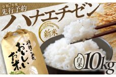 【先行予約 8月下旬より順次発送 】 【令和7年産】 ハナエチゼン 白米 10kg / 米 お米 精米 小浜市 / 北川博司 [BFDG004]
