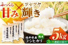 【定期便3回】 【先行予約/9月以降発送】　【令和7年産】 福井県産こしひかり 精米 5kg 小浜市 / シマダ農園 [BFAV010]