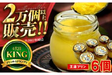 王道プリン6個入り / プリン 洋菓子 おやつ /  小浜市 / 志保重 【配送不可地域：離島】 [BFBF012]