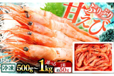日本海 甘えび 500g (約50尾)×2箱 / エビ 甘エビ えび エビ 福井県 小浜市 / 小浜海産物 【配送不可地域：北海道・沖縄・離島】 [BFAA083]