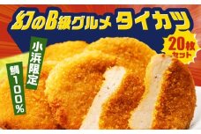 タイカツ 10枚入×2セット 魚のすり身のカツ 練り物 フライ すり身 ソールフード 揚げるだけ 【冷凍】 小浜市 / 小浜海産物 【配送不可地域：北海道・沖縄・離島】 [BFAA094]