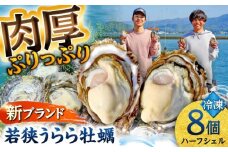 【先行予約/10月上旬より順次発送】 若狭うらら牡蠣 ハーフシェル 8個 生食可 / かき カキ 海鮮 小浜市 / 小浜海産物 【配送不可地域：北海道・沖縄・離島】 [BFAA099]