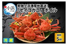 【先行予約/11月7日より順次発送】 「若狭小浜港産地直送」セイコガニ (コッペガニ) ボイル 5杯 / せいこがに コッペガニ 蟹 小浜市 / 加福鮮魚【配送不可地域：北海道・沖縄・離島】 [BFBC005] 