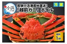 【先行予約/11月7日より順次発送】 「若狭小浜港産地直送」 越前がに (ズワイガニ) ボイル 1杯 / 蟹 かに カニ 小浜市 / 加福鮮魚【配送不可地域：北海道・沖縄・離島】  [BFBC004] 