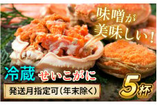 【先行予約】 【12月配送】  セイコガニ（ズワイガニのメス）中サイズ 5杯  小浜市 / まるほ商店 【配送不可地域：北海道・沖縄・離島】[BFCS015-12]