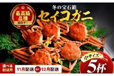 【先行予約】 【12月配送】  セイコガニ（ズワイガニのメス）中サイズ 5杯  小浜市 / まるほ商店 【配送不可地域：北海道・沖縄・離島】[BFCS015-12]
