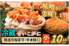 【先行予約】 【12月配送】 セイコガニ（ズワイガニのメス） 小サイズ 10杯  小浜市 / まるほ商店 【配送不可地域：北海道・沖縄・離島】[BFCS016-12]