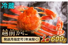 【先行予約】 【3月配送】 越前がに 600ｇ×1杯 小浜市 / まるほ商店 【配送不可地域：北海道・沖縄・離島】[BFCS018-3]
