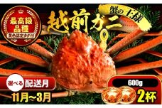 【先行予約】 【3月配送】 越前がに 600ｇ×2杯 小浜市 / まるほ商店 【配送不可地域：北海道・沖縄・離島】[BFCS019-3]