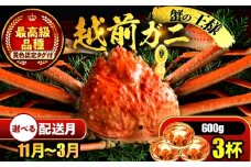 【先行予約】 【11月配送】 越前がに 600ｇ×3杯 小浜市 / まるほ商店 【配送不可地域：北海道・沖縄・離島】[BFCS020-11]