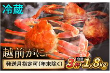 【先行予約】 【3月配送】 越前がに 600ｇ×3杯 小浜市 / まるほ商店 【配送不可地域：北海道・沖縄・離島】[BFCS020-3]