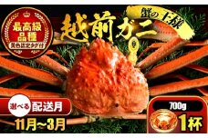 【先行予約】 【11月配送】 越前がに 700ｇ×1杯 小浜市 / まるほ商店 【配送不可地域：北海道・沖縄・離島】[BFCS021-11]