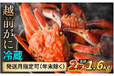 【先行予約】 【3月配送】 越前がに 800ｇ×2杯 小浜市 / まるほ商店 【配送不可地域：北海道・沖縄・離島】[BFCS025-3]