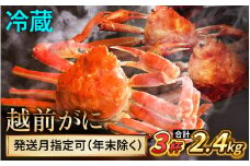 【先行予約】 【12月配送】 越前がに 800ｇ×3杯 小浜市 / まるほ商店 【配送不可地域：北海道・沖縄・離島】[BFCS026-12]