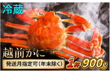 【先行予約】 【2月配送】 越前がに 900ｇ×1杯 小浜市 / まるほ商店 【配送不可地域：北海道・沖縄・離島】[BFCS027-2]