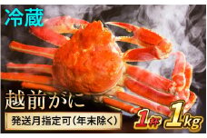 【先行予約】 【2月配送】 越前がに 1kg×1杯 小浜市 / まるほ商店 【配送不可地域：北海道・沖縄・離島】[BFCS030-2]