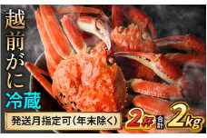 【先行予約】 【11月配送】 越前がに 1kg×2杯 小浜市 / まるほ商店 【配送不可地域：北海道・沖縄・離島】[BFCS031-11]