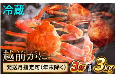 【先行予約】 【1月配送】 越前がに 1kg×3杯 小浜市 / まるほ商店 【配送不可地域：北海道・沖縄・離島】[BFCS032-1]