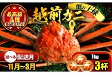 【先行予約】 【1月配送】 越前がに 1kg×3杯 小浜市 / まるほ商店 【配送不可地域：北海道・沖縄・離島】[BFCS032-1]
