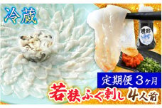 【TVで紹介されました】【定期便】【3か月連続お届け】【2025年10月17日より】若狭ふぐ刺しセット 4人前｜旅サラダ ふぐ フグ 河豚 ふぐ刺し フグ刺し 河豚刺し ふぐてっさ てっさ フグてっさ 河豚てっさ ふぐ 冷蔵 とらふぐ ふぐ刺身   【配送不可地域：北海道・沖縄・離島】  [BFAC012] 