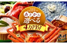 【あとから選べる】 福井県小浜市ふるさとギフト 4万円分 海産物 箸 お米 スイーツ あとから ギフト [BFDV012]