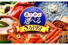 【あとから選べる】 福井県小浜市ふるさとギフト 5万円分 海産物 箸 お米 スイーツ あとから ギフト [BFDV013]
