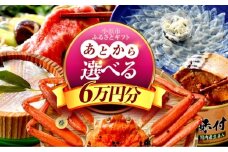 【あとから選べる】 福井県小浜市ふるさとギフト 6万円分 海産物 箸 お米 スイーツ あとから ギフト [BFDV014]
