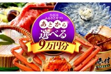 【あとから選べる】 福井県小浜市ふるさとギフト 9万円分 海産物 箸 お米 スイーツ あとから ギフト [BFDV017]