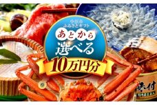 【あとから選べる】 福井県小浜市ふるさとギフト 10万円分 海産物 箸 お米 スイーツ あとから ギフト [BFDV018]