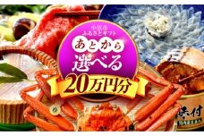 【あとから選べる】 福井県小浜市ふるさとギフト 20万円分 海産物 箸 お米 スイーツ あとから ギフト [BFDV019]