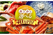【あとから選べる】 福井県小浜市ふるさとギフト 40万円分 海産物 箸 お米 スイーツ あとから ギフト [BFDV021]