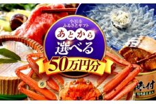 【あとから選べる】 福井県小浜市ふるさとギフト 50万円分 海産物 箸 お米 スイーツ あとから ギフト [BFDV022]