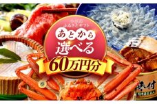 【あとから選べる】 福井県小浜市ふるさとギフト 60万円分 海産物 箸 お米 スイーツ あとから ギフト [BFDV023]