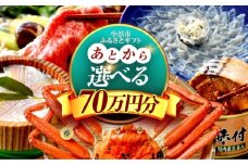【あとから選べる】 福井県小浜市ふるさとギフト 70万円分 海産物 箸 お米 スイーツ あとから ギフト [BFDV024]