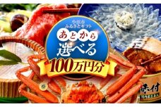 【あとから選べる】 福井県小浜市ふるさとギフト 100万円分 海産物 箸 お米 スイーツ あとから ギフト [BFDV027]