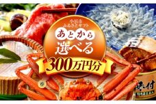 【あとから選べる】 福井県小浜市ふるさとギフト 300万円分 海産物 箸 お米 スイーツ あとから ギフト [BFDV029]