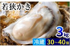 【先行予約/11月下旬より順次発送】【期間限定】若狭小浜ブランド 若狭かき（加熱用）3Kg 30〜40個入り  【配送不可地域：北海道・沖縄・離島】  [BFAO011] 