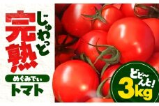 【先行予約/9月下旬より出荷（毎週水曜日発送）】 完熟 めぐみでぃトマト 3kg / とまと トマト 完熟トマト 高糖度 トマト 取り寄せ / 小浜市 / 若狭の恵 【配送不可地域：離島】 [BFAG030]