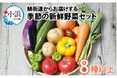 鯖街道からお届け 季節の新鮮 野菜セット 8種以上  [BFAN006]