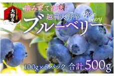 【先行予約】摘みたて直送！越前大野産ブルーベリー 100ｇ×5パック 合計500g 【2025年7月下旬から順次発送】