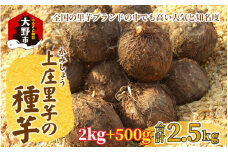 日本の美味い里芋を栽培！上庄里芋の種芋 2kg + 500g【2025年3月10日～出荷】