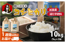 【令和6年産】名水の里越前大野の棚田清流米コシヒカリ5kg×2袋 減農薬 減化学肥料