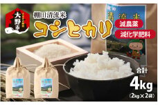  【令和6年産】名水の里 越前大野の棚田清流米コシヒカリ 2kg×2袋 減農薬 減化学肥料