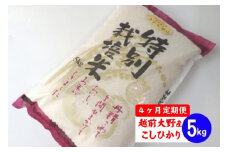 【令和6年産】【4ヶ月定期便】福井県認証の特別栽培米 コシヒカリ 5kg×4回