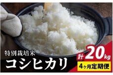 【令和7年産 新米】【4ヶ月定期便】福井県認証の特別栽培米 コシヒカリ 5kg×4回【10月より順次発送】