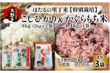 【先行予約】【令和7年産 新米】ベストファーマー ほたるの里 特別栽培こしひかり 4kg（2kg × 2袋） ＋ かぐらもち米 1.4kg 化学肥料不使用 農薬70％以上カット