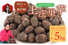 【先行予約】【年内お届け】麦田さんの農作物　上庄里芋 5kg 　M～Lサイズ　【2025年10月中旬より順次発送】