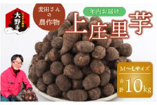 【先行予約】【年内お届け】麦田さんの農作物　上庄里芋 10kg　M～Lサイズ 【2025年10月中旬より順次発送】